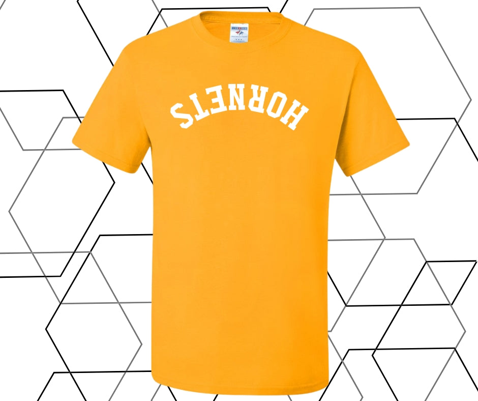 Hornets Upside Down Curve Graphic