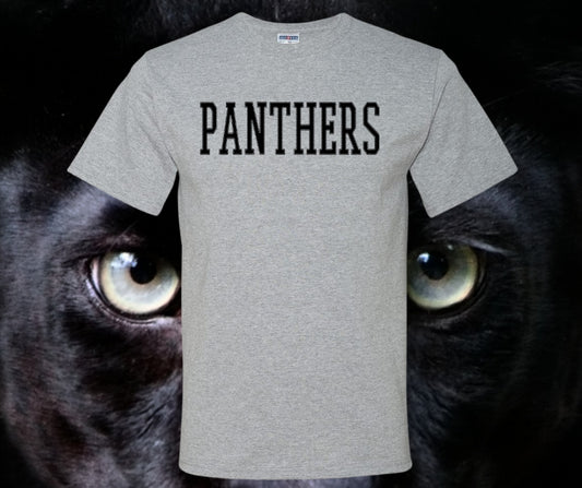 Panthers Stitch Graphic Tee