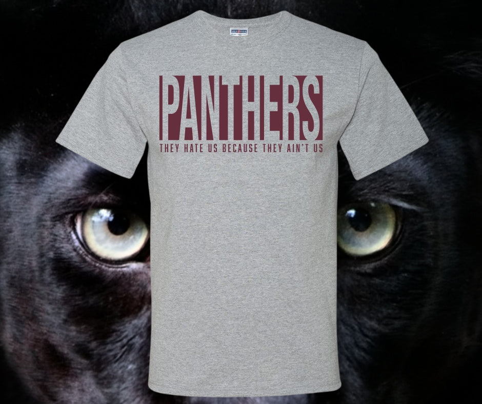 Panthers They Hate Us Cause They Ain't Us Graphic Tee