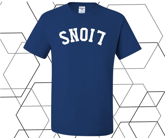 Lions Upside Down Curve Graphic Tee