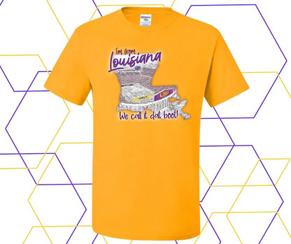 I'm From Louisiana Graphic Tee
