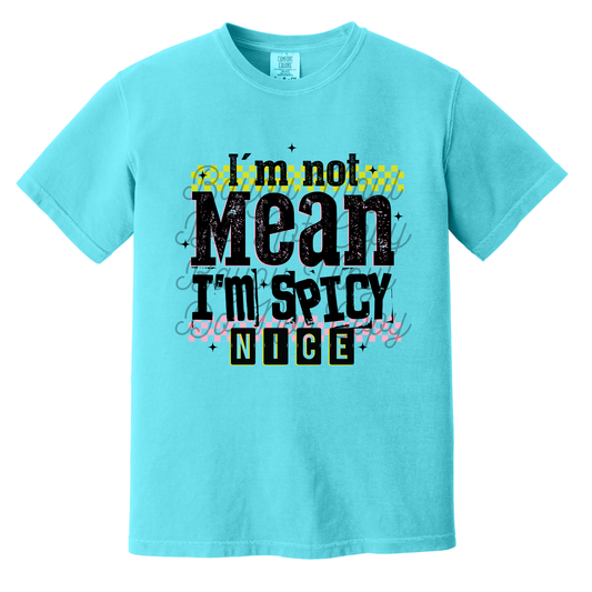 I'm Not Mean, I'm Mentally Spicy Tee