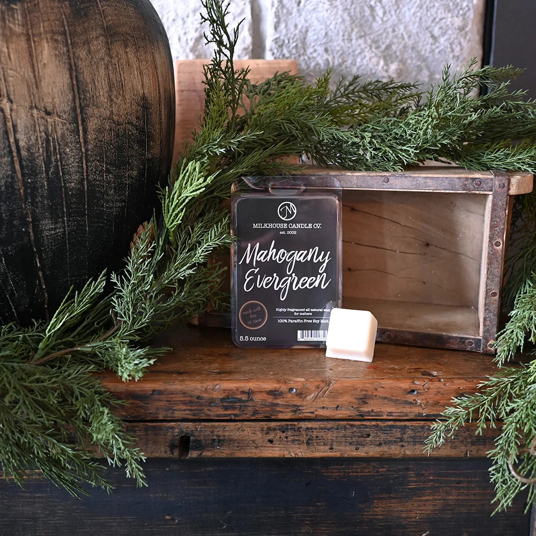Mahogany Evergreen