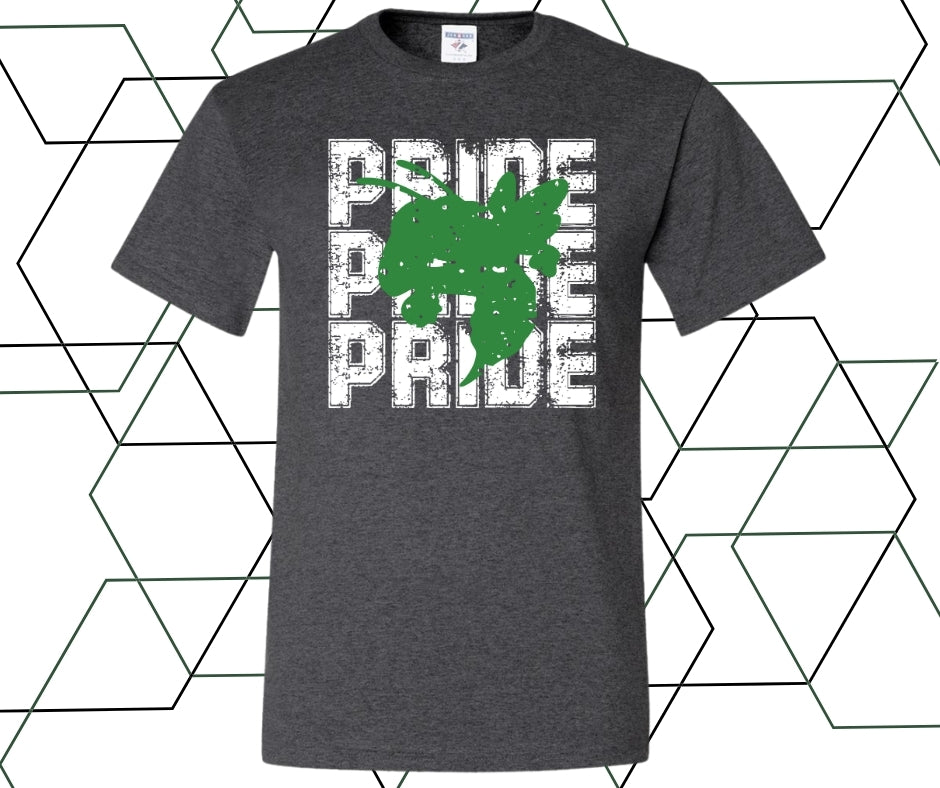 Hornet Pride Distressed Graphic Tee