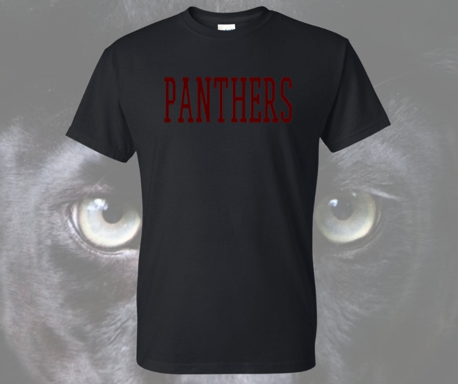 Panthers Stitch Graphic Tee