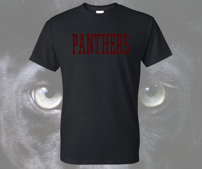 Panthers Stitch Graphic Tee