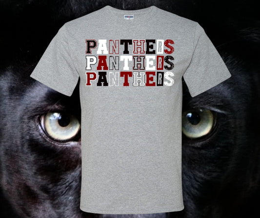 Panthers Varsity Block Graphic Tee