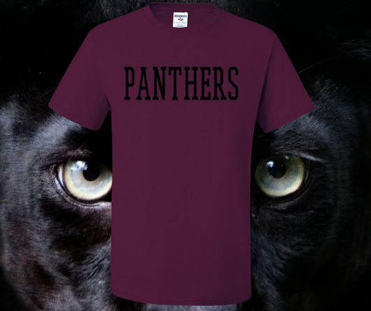 Panthers Stitch Graphic Tee